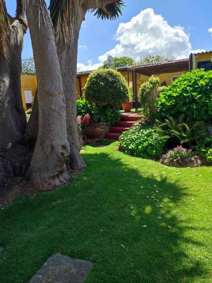 Finca El Trazo Tacoronte Exterior photo